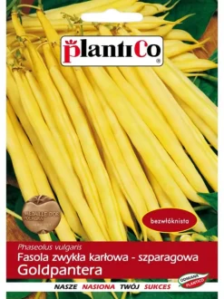 Dværgfransk bønne GOLDPANTERA 40g. PlantiCo frø