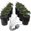 DWC Hydroponics dyrkessystem, Deep Water Culture, 8 spande med luftpumpe, effektiv vandkultur, let at bruge