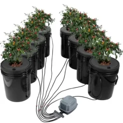DWC Hydroponics dyrkessystem, Deep Water Culture, 8 spande med luftpumpe, effektiv vandkultur, let at bruge