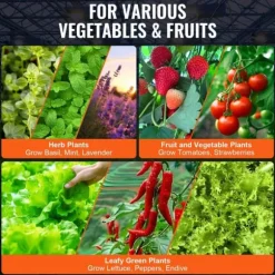 DWC Hydroponics Vækstsystem, Dybvandskultur med Top Drip, 4 Spande, Effektiv Vækst, Hydroponisk Havearbejde
