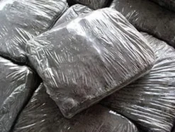 Dyrkningssæt til brune svampemycelier, 20 kg balle, 3-faset substrat