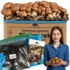 Dyrkningssæt til brune svampemycelier 5 kg hjemmedyrkning + gratis