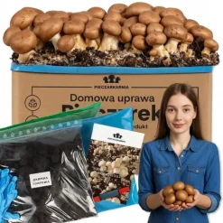 Dyrkningssæt til brune svampemycelier 5 kg hjemmedyrkning + gratis