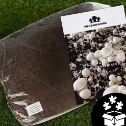 Dyrkningssæt til hvide svampe, 20 kg balle, 3-faset myceliumsubstrat, testet