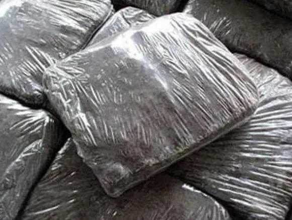 Dyrkningssæt til hvide svampe, 20 kg balle, 3-faset myceliumsubstrat, testet