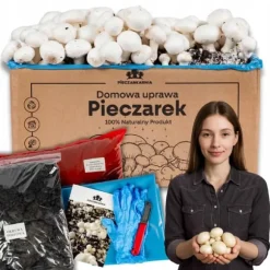 Dyrkningssæt til svampemycelium, 8 kg, instruktioner til hjemmedyrkning + gratis gave