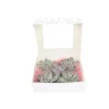 Echeveria DIY Mix - Sæt med 5 - Echeveria lilacina - Højde 7cm