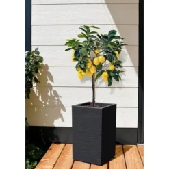 EDA Graphit Up Fyrkantig blomlåda - 36 L - 29.5 x 29.5 cm x 49.5 cm - Charcoal Grey