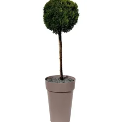 EDA Potte/Høj Vase TOSCANE - 67 L - Ø 46 x H 65 cm - Taupe