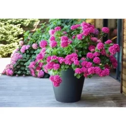 EDA Rund urtepotte TOSCANE - 76 L - Ø 60 x H 47 cm - Antracitgrå
