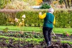 Efterårsgødning til syreelskende planter GardenStart 5kg