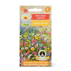 Engblomstfrøblanding med hurtig blomstring - farverige engblomster på bare et par uger