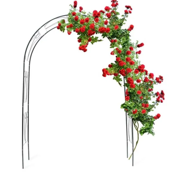 Espalier, 153x39x233 cm, Grøn