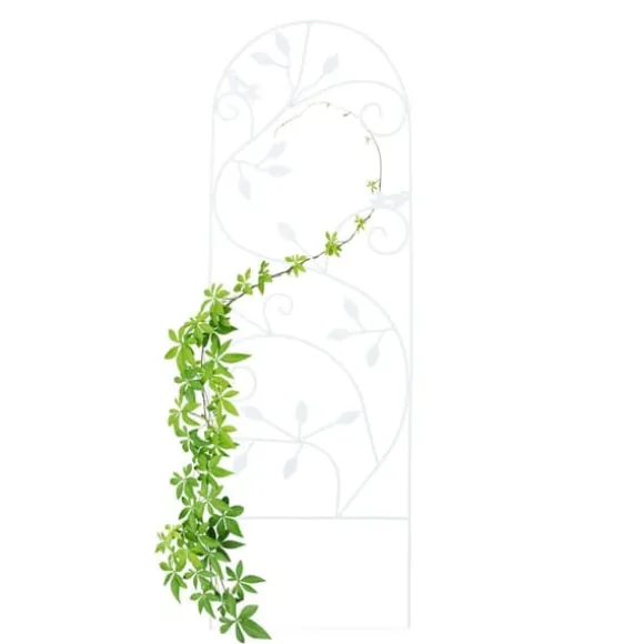 Espalier, 120x40x0,5 cm, Kodustaar