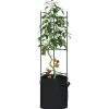 Espalierer med planteposer 4 stk - Justerbare tomatstativ i stål | Højde: 116 cm