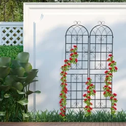 Espalier-sæt, 150x50x1,5 cm, Sort