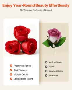 Evighedsroser - Hjerteformet Roseboks - 100 Stk Konserverede Roser - Langtidsholdbar Gaveidé - Til Fødselsdag/Valentinsdag/Jubilæum - Rød