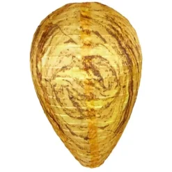 Falsk hvepsebo, Orange - 5 stk