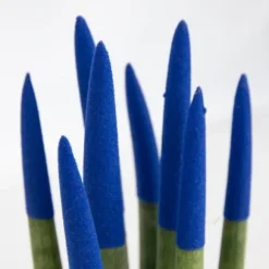Farvet bajonetplante - Sansevieria cylindrica - Højde 20-40cm - ⌀9cm