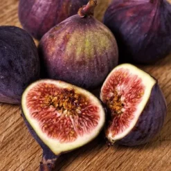 Figen - Sæt med 2 - Ficus Carica - Højde 70-90cm - ⌀21cm