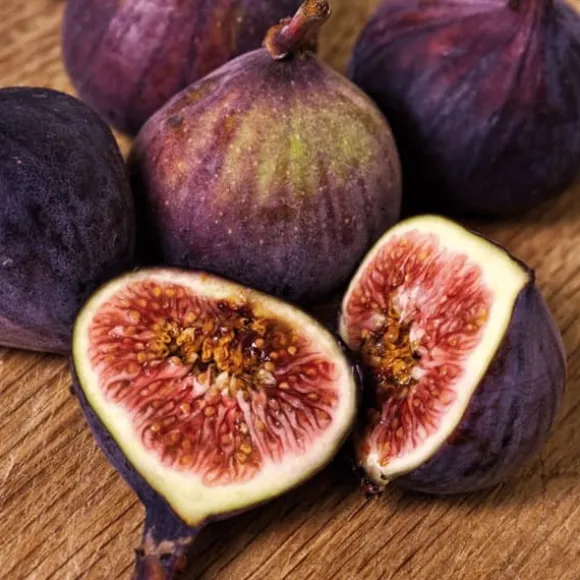 Figen - Sæt med 2 - Ficus Carica - Højde 70-90cm - ⌀21cm