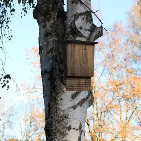 Flagermusehus, 37x22x12,5 cm, Brun