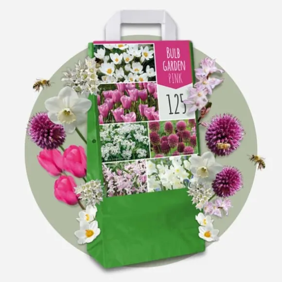 Forårsblomst pærer rosa - Sæt med 125 - Blomsterløg - Lilla