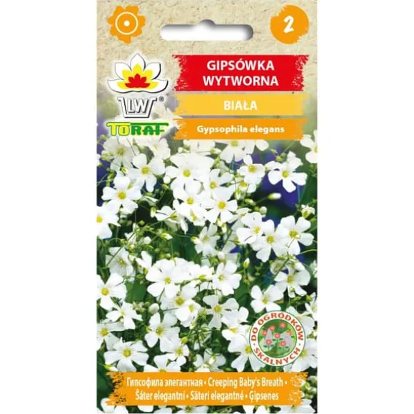 Frø af hvid sommerlilje - Let og luftig blomstring til blomsterbede og buketter