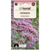 Frø af kæmpeverbena - Lang blomstrende staude, der tiltrækker bestøvere
