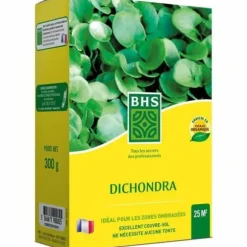 Frø BHS Dichondra