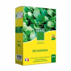 Frø BHS Dichondra