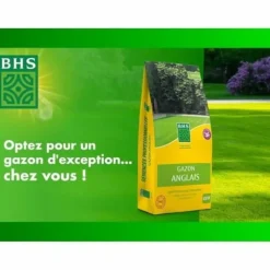 Frø BHS Gazon Anglais 10 kg