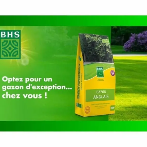 Frø BHS Gazon Anglais 10 kg