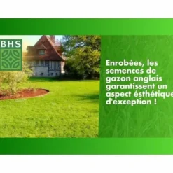 Frø BHS Gazon Anglais 10 kg