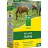 Frø BHS Mélange 500 g