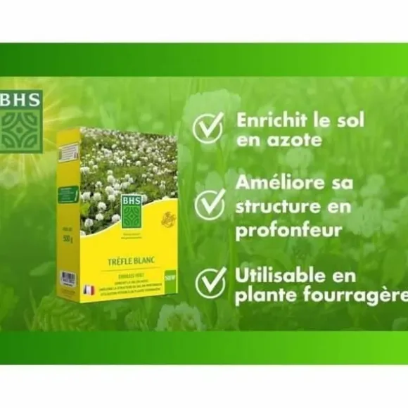 Frø BHS Trèfle Blanc 500 g