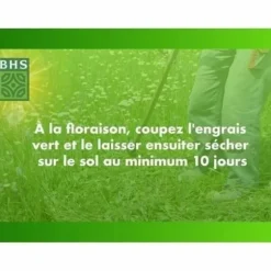 Frø BHS Trèfle Blanc 500 g