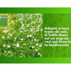 Frø BHS Trèfle Blanc 500 g