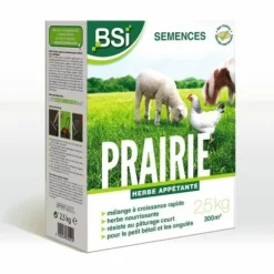 Frø BSI