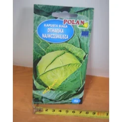 frø DITMAR KÅL 2g PN4430