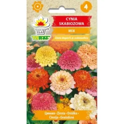 Frø til dahlia-zinnia-blanding - farverige, store blomster til bede og buketter