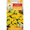 Fransk morgenfruefrø Gypsy Sunshine - Rigelig blomstring med citronfarvede blomster