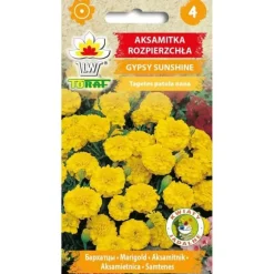 Fransk morgenfruefrø Gypsy Sunshine - Rigelig blomstring med citronfarvede blomster