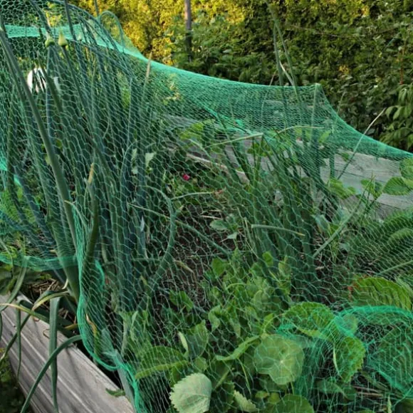 Fuglebeskyttelsesnet sæt, 500x400 cm, Grøn