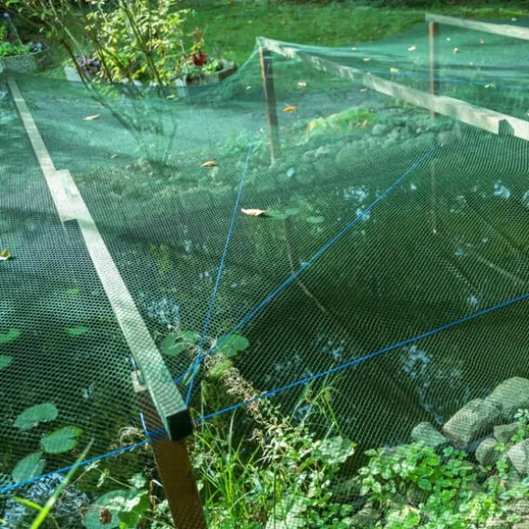 Fuglebeskyttelsesnet sæt, 500x400 cm, Grøn