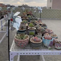 Fuglevindmølle Udendørs Fugleafvisende PinWheels Reflekterende Vindmølle Fugleafvisere