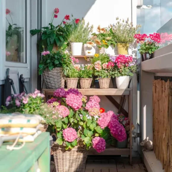 Garden Start Granuleret Hortensiagødning 2kg