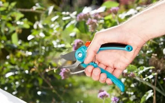 Gardena B/S Classic enhånds havebeskærer / 8854 rustfrit stål