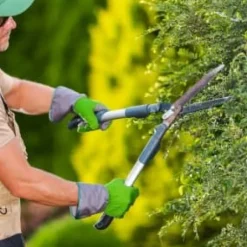 Gødning til nåletræer Thuja Granulat Have Start 10kg