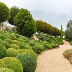 Gødning til Thujas, Arborvitaes, Nåletræer, Garden Start 5 kg